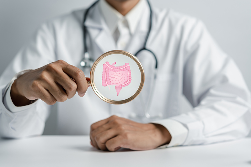 Doctor examining an illustration of the colon