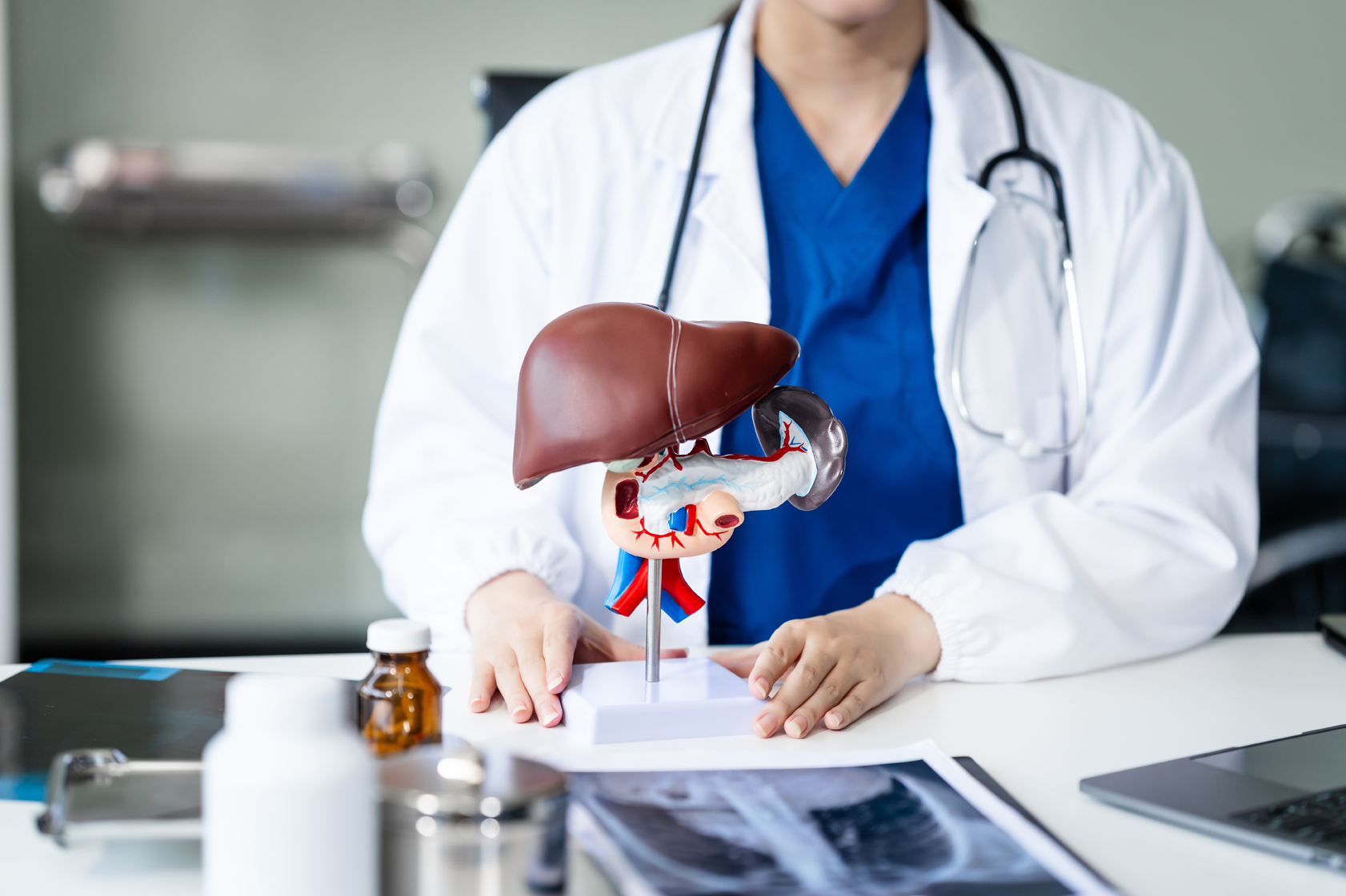 A doctor with an anatomical model of a liver